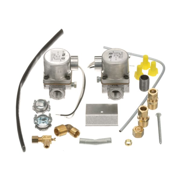 Dual Solenoid Valve 3/8" 120V